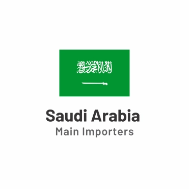 Top 10 Saudi Arabia import companies and their shipments